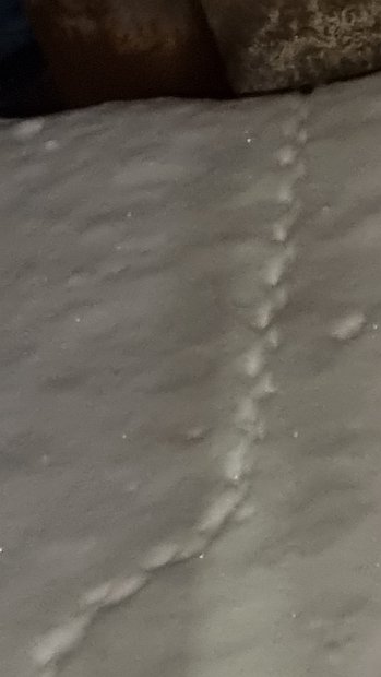 20231203_020414
