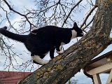 20230106_143829.jpg