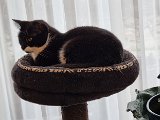 20230106_150825.jpg