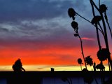 20230113_073523.jpg