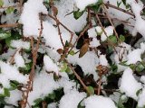 20230121_080054.jpg