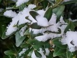 20230121_080132.jpg