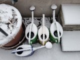 20230121_080215.jpg