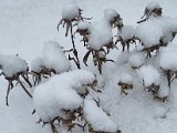 20230121_081228(0).jpg