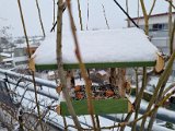 20230121_081241.jpg
