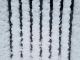 20230121_081324.jpg