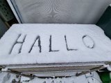 20230121_104232.jpg