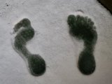 20230122_023635.jpg