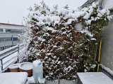 20230122_102746.jpg