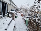20230122_102756.jpg