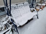 20230122_102816.jpg