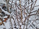 20230122_102829.jpg
