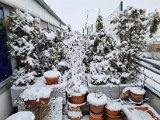 20230122_102843.jpg