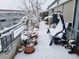 20230122_102854(0).jpg