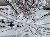 20230122_102911.jpg