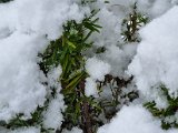 20230122_103016.jpg