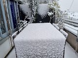 20230122_103132.jpg