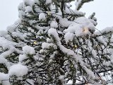 20230122_103146(0).jpg