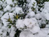 20230122_103154.jpg