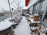 20230122_103214(0).jpg