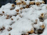 20230122_103226.jpg
