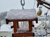 20230122_103258.jpg