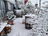 20230122_103316.jpg