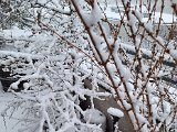 20230122_103322.jpg