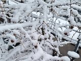 20230122_103333.jpg