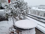 20230122_103346.jpg