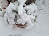 20230122_103406.jpg