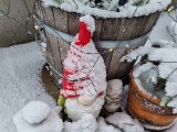 20230122_103422.jpg