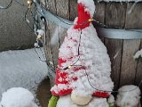 20230122_103451.jpg
