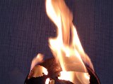 20230125_071911.jpg