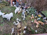 20230126_135334.jpg