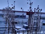 20230128_072925.jpg