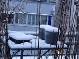 20230128_072942.jpg