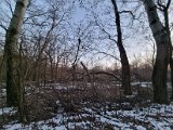 20230206_170358.jpg