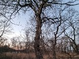 20230206_171703(0).jpg