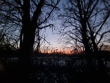 20230206_173147.jpg