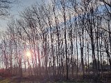 20230208_155639(0).jpg