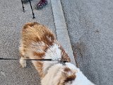 20230210_140028.jpg