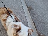 20230210_140129.jpg