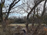 20230210_144145.jpg