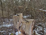 20230210_144909.jpg