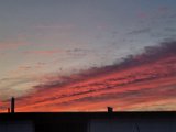20230221_063435.jpg