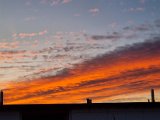 20230221_063958.jpg