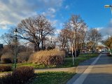 20230221_163816.jpg