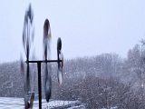 20230226_063736.jpg