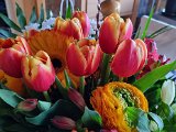 20230308_064306.jpg